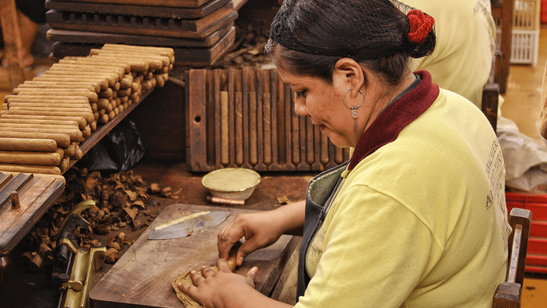 Imagen 4 para Día 1