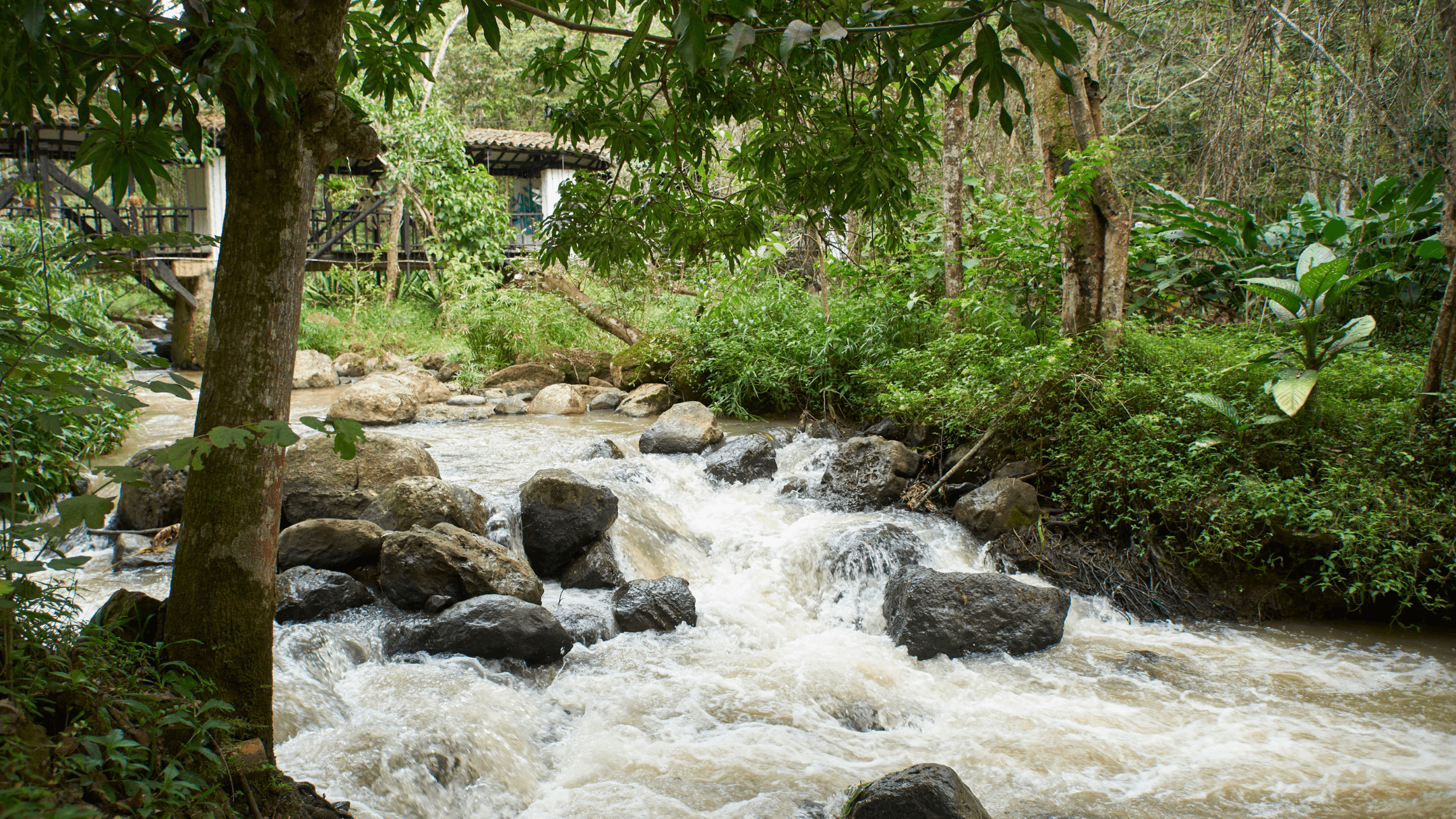 Imagen 2 para Día 4