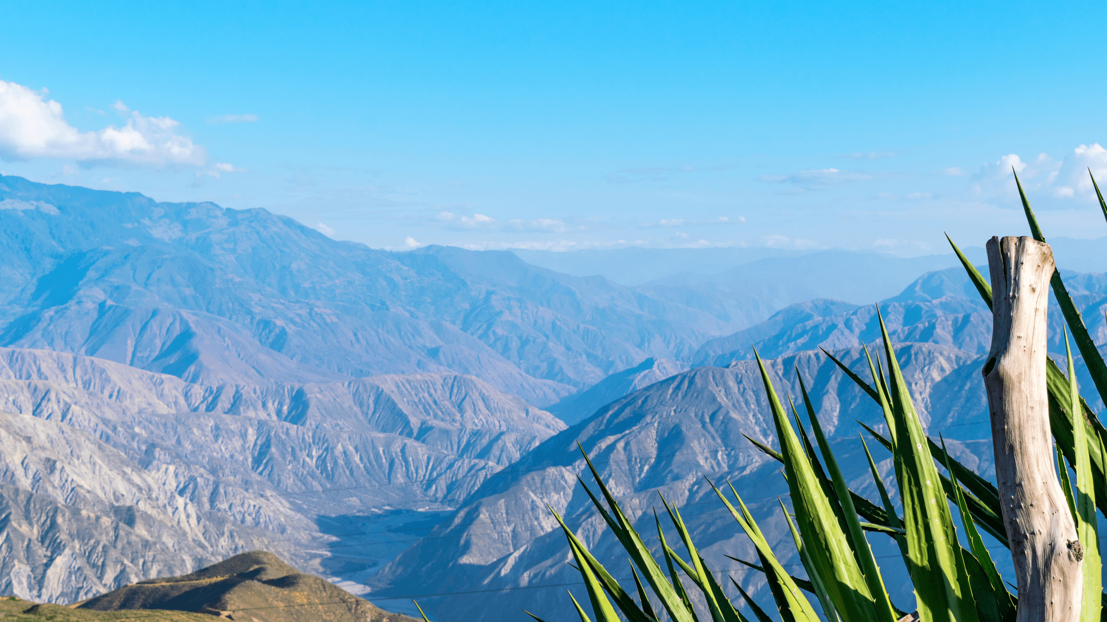 Imagen 4 para Día 4